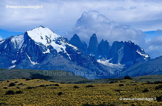 Torres del Paine 23-29-03